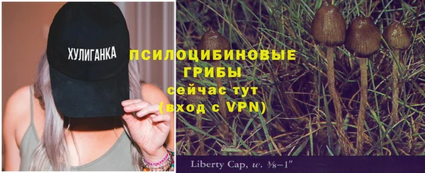 мет Нефтегорск