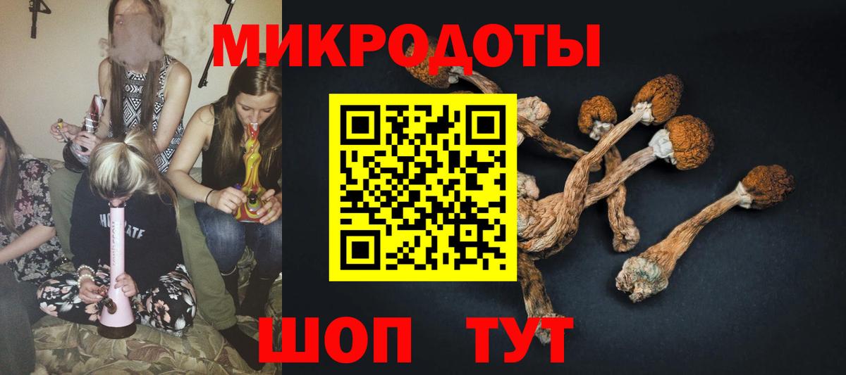 Галлюциногенные грибы мицелий Домодедово
